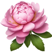 Pink  sticker