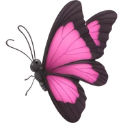Pink butterfly sticker