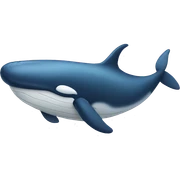 whale sticker