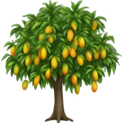 Mango tree sticker