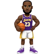 LeBron  sticker