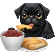 Black pug eating sticker