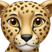 Cheetah  sticker