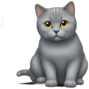 British shorthair on laptop sticker