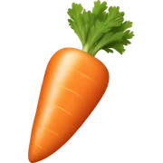 Carrot  sticker
