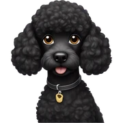 Black poodle sticker