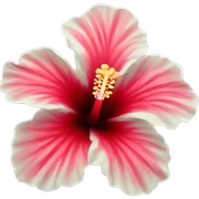 hibiscus sticker