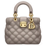 dior bag sticker