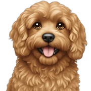 Cavapoo sticker
