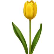 Tulipan amarillo sticker