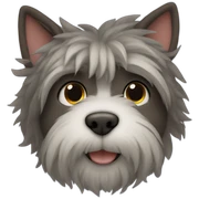 Toto sticker