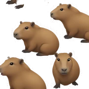 Capybara sticker