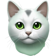 Black, white and  eyes green cat sticker