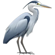 Heron sticker