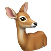 doe sticker