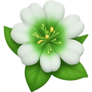 Flor verde sticker