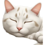 cat sleeping  sticker
