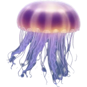 Moon jellyfish sticker