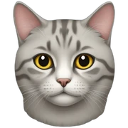 british cat sticker