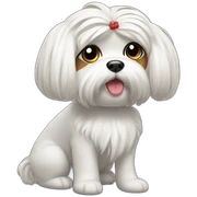 Maltese with hair tied up sticker