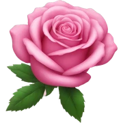 Pink rose  sticker