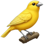 canary sticker