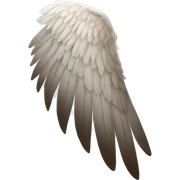Wing  sticker