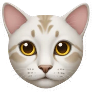 Cat  sticker