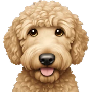 Beige goldendoodle sticker