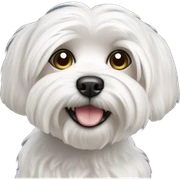 Maltese sticker