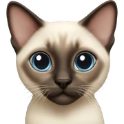 Siamese kitten sticker