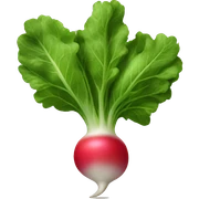 Radish sticker