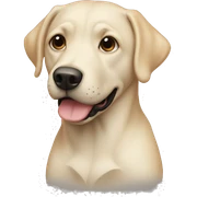 lab sticker