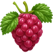 Raspberry sticker