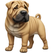 Sharpei  sticker