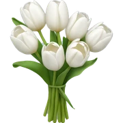 white tulip bouquet  sticker