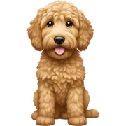 Goldendoodle sticker
