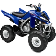 Yamaha raptor quad sticker