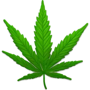 marijuana sticker
