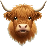 Highland Cow  sticker