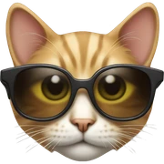 Cat with sunglasses sticker