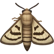 moth  sticker