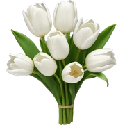 White tulips bouquet  sticker