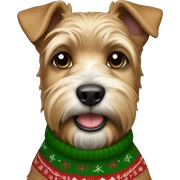 Airdale Terrier in christmas Sweater  sticker