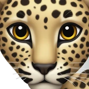 leopard heart sticker