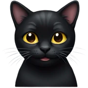 black cat sticker