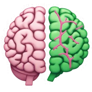 brain separate in two part, one pink and one green  sticker