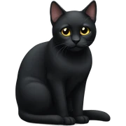 black cat sticker