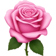 pink rose sticker