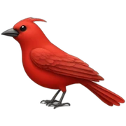 red bird with no legs sticker